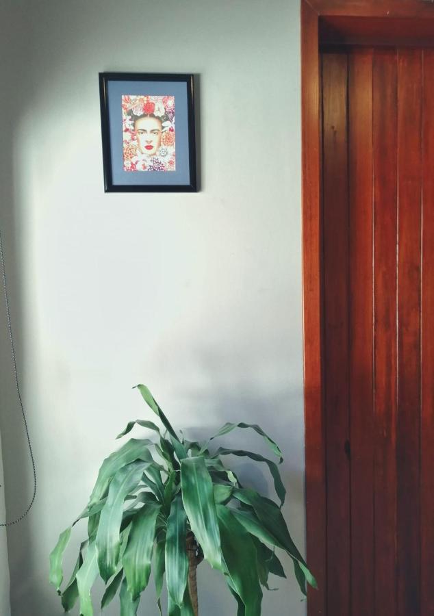 Casa Violeta Pansiyon Tepic Dış mekan fotoğraf