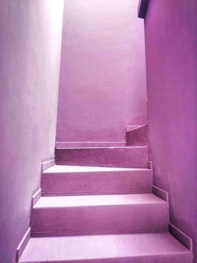 Casa Violeta Pansiyon Tepic Dış mekan fotoğraf
